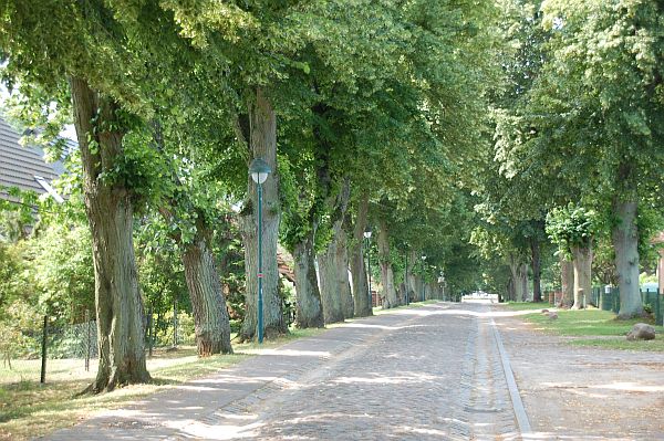 Alleestra�e Alt Schwerin Wohngrundst�ck VERKAUFT Herrliches Bauland in Alt-Schwerin