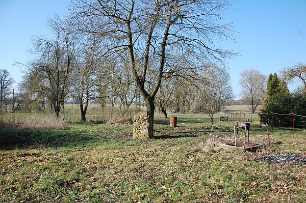  Einfamilienhaus Massow