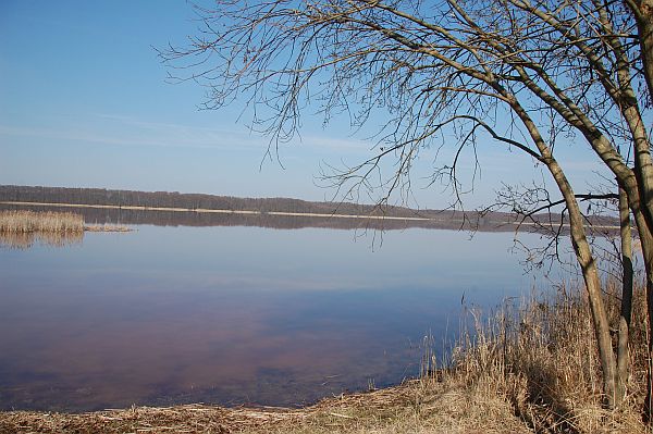 Einfamilienhaus Massow